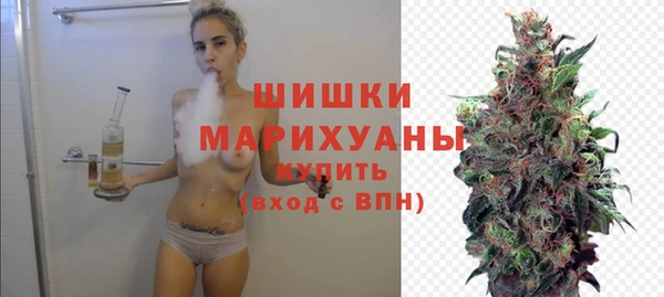 мдпв Киреевск