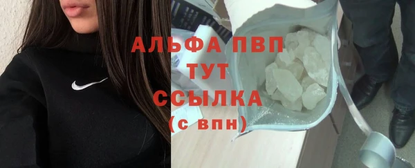 гидра Киренск