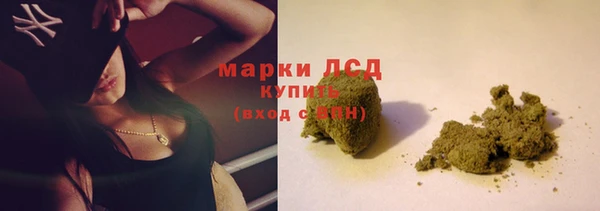 гидра Киренск