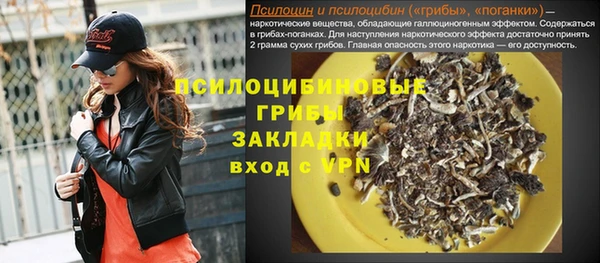 мдпв Киреевск