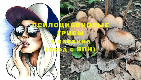 бутират Кинешма