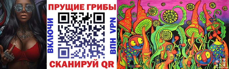Купить  Ногинск  Галлюциногенные грибы Cubensis 